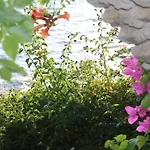فندق Urga Butik & Restaurant غولوك