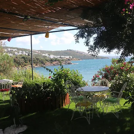 Urga Butik & Restaurant غولوك