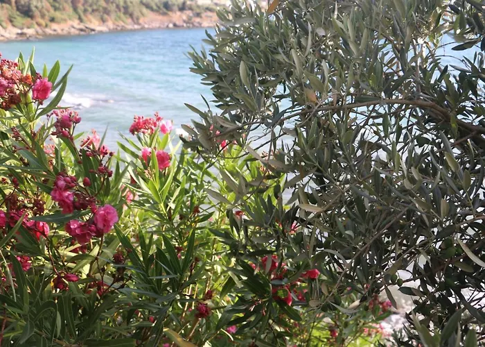 Urga Butik & Restaurant * Gulluk