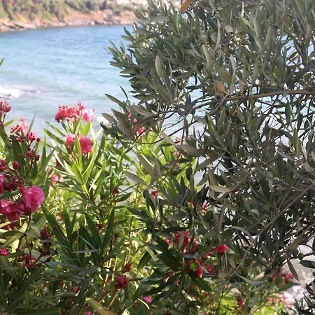 Urga Butik & Restaurant * Gulluk