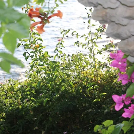 ホテル Urga Butik & Restaurant Gulluk