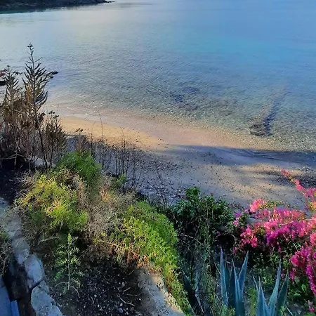 Urga Butik & Restaurant فندق