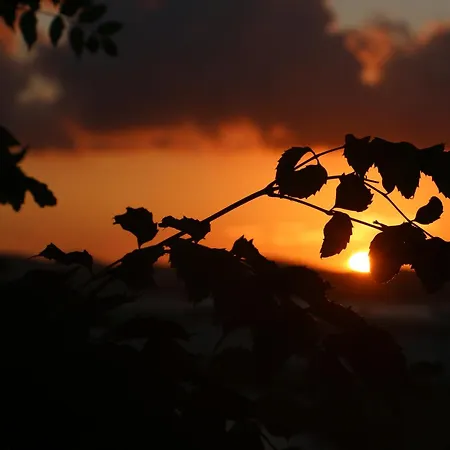 Urga Butik & Restaurant *