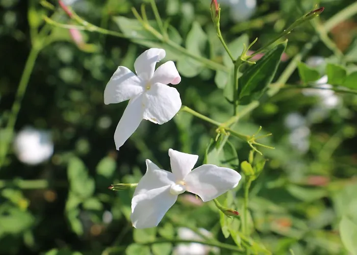 Urga Butik & Restaurant Gulluk