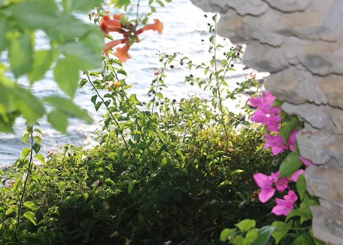 Hotel Urga Butik & Restaurant Gulluk