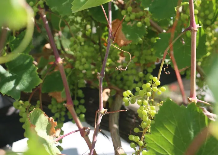 Urga Butik & Restaurant Hotel *