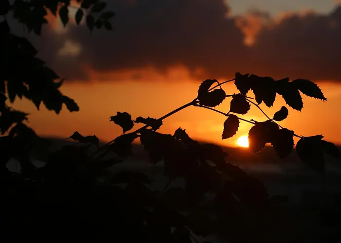 Urga Butik & Restaurant *